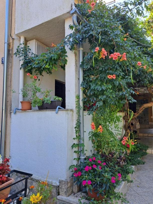 Accomodation Mirjana Rooms Poreč Extérieur photo